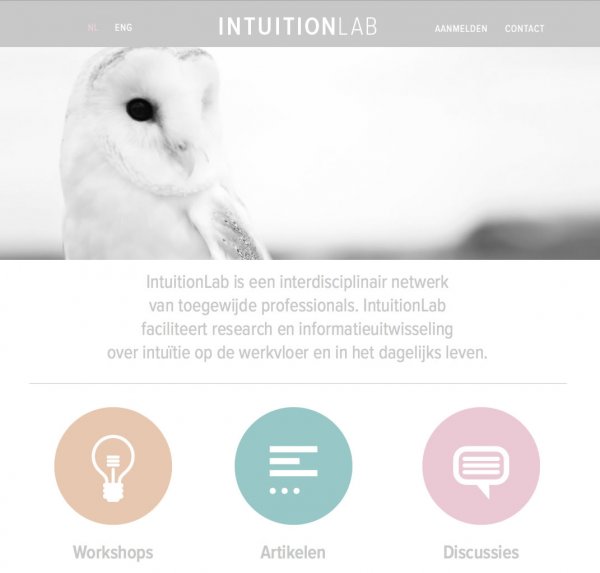 Intuition Lab